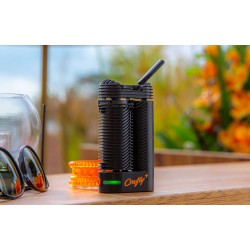 Storz and Bickel | Crafty Plus + V2 herb Vaporizer 