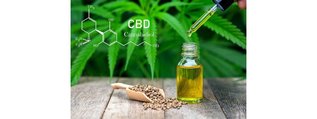 מה זה CBD?